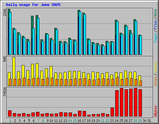 Daily usage for June 2025