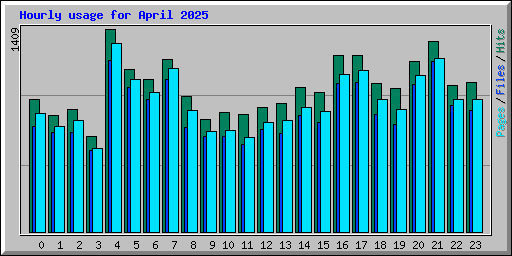 Hourly usage for April 2025