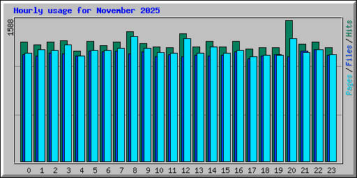Hourly usage for November 2025