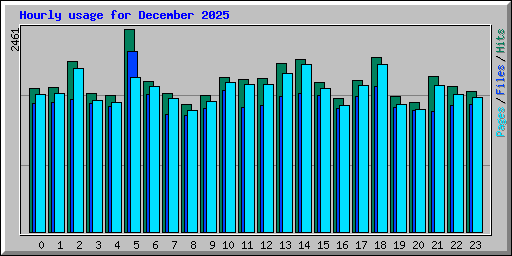 Hourly usage for December 2025