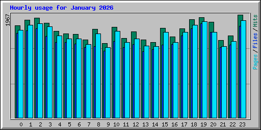 Hourly usage for January 2026